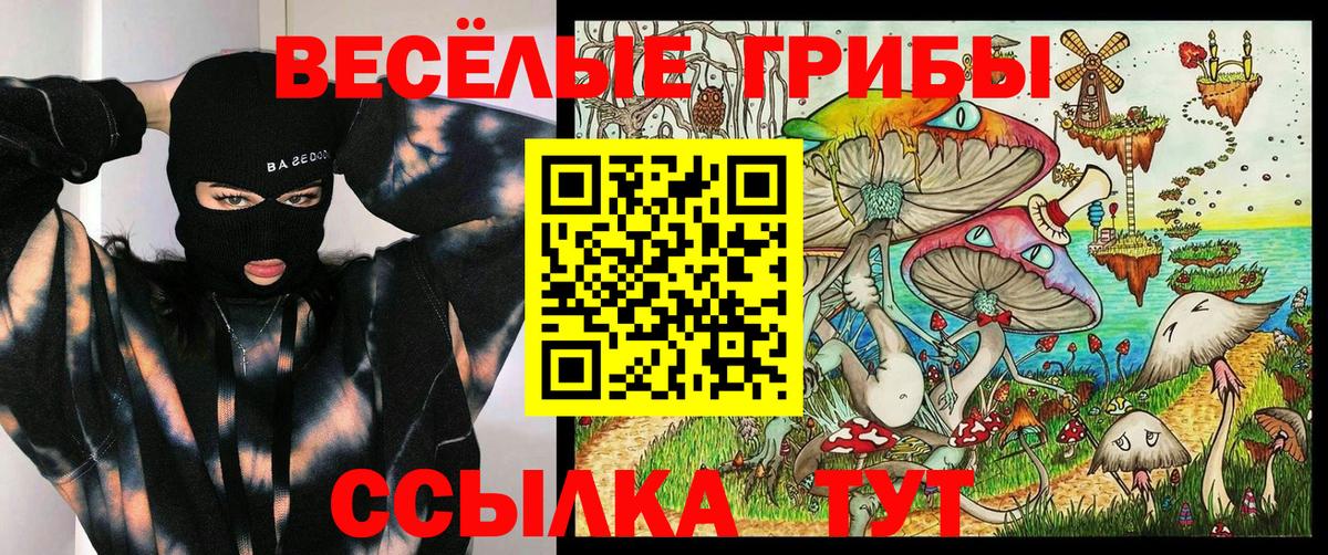 Псилоцибиновые грибы ЛСД  Вход с VPN  Ачинск 